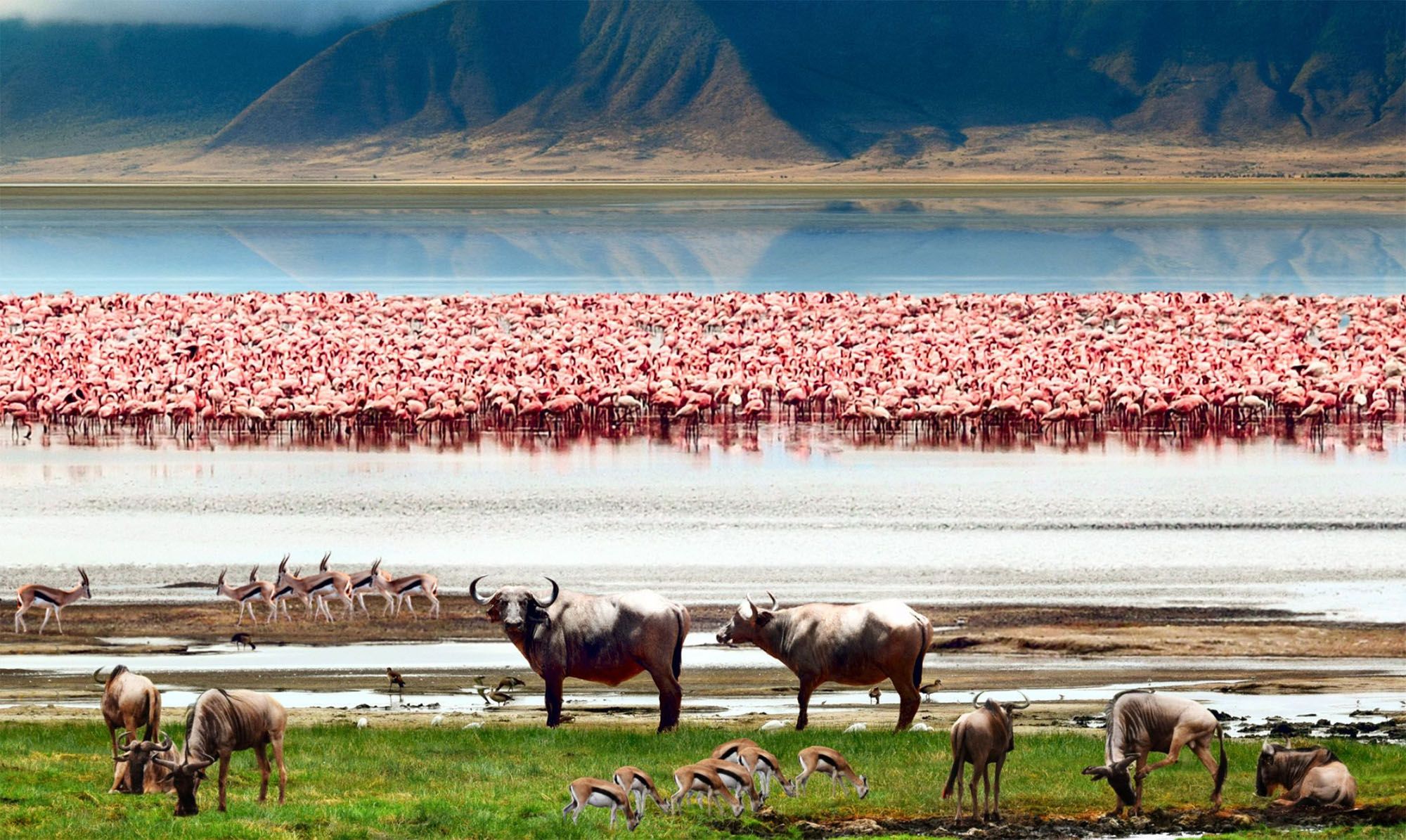 Озеро Магади (Lake Magadi)